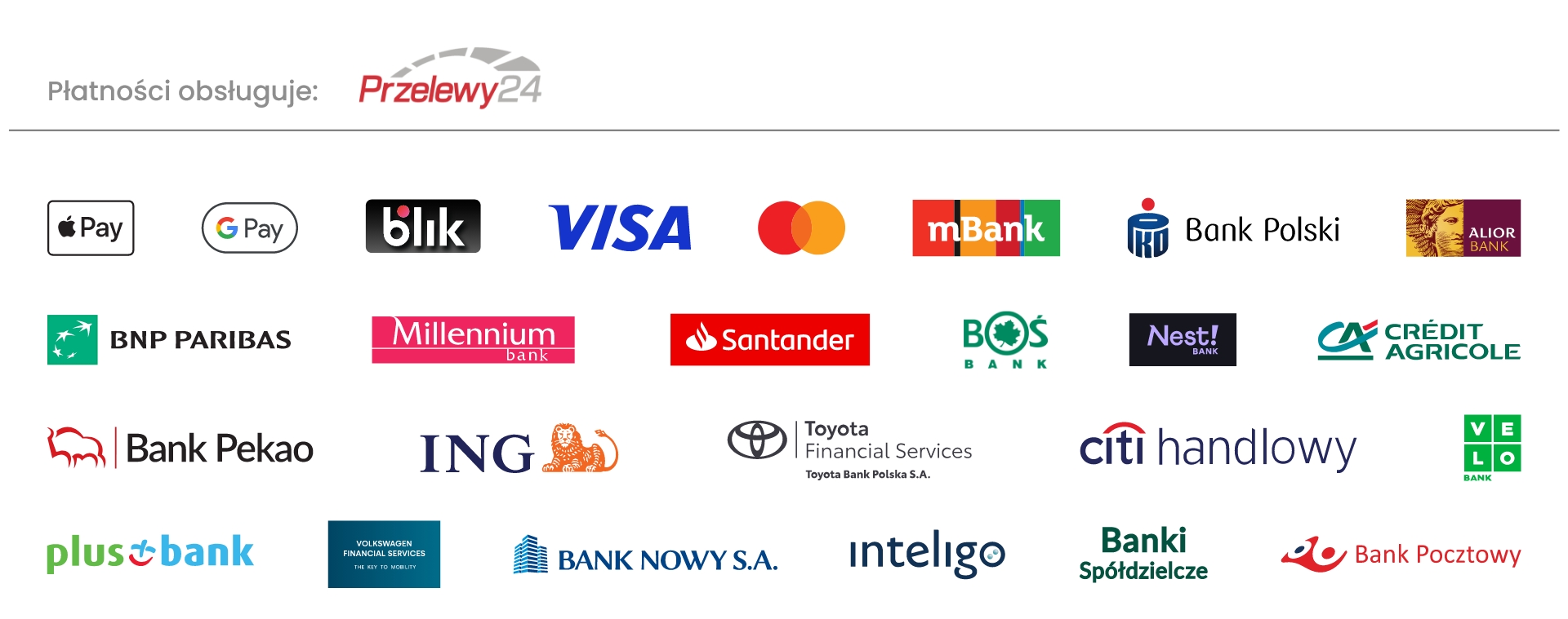 Metody płatności: Przelewy24, BLIK, Visa, Mastercard, Google Pay, Apple Pay